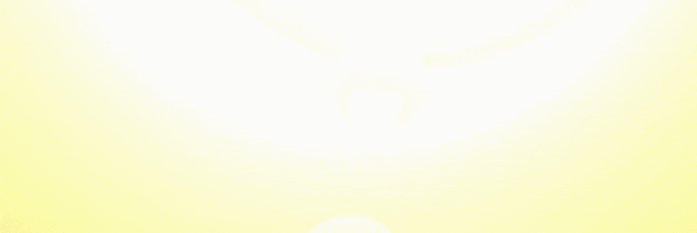 1737724205725016 1.gif