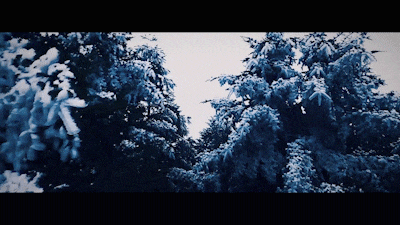 1707181092330372 07.gif