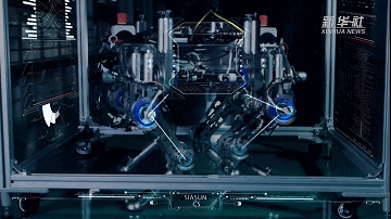 1689313292587202 9-4.gif