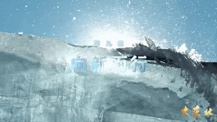 1736153194447174 1.gif
